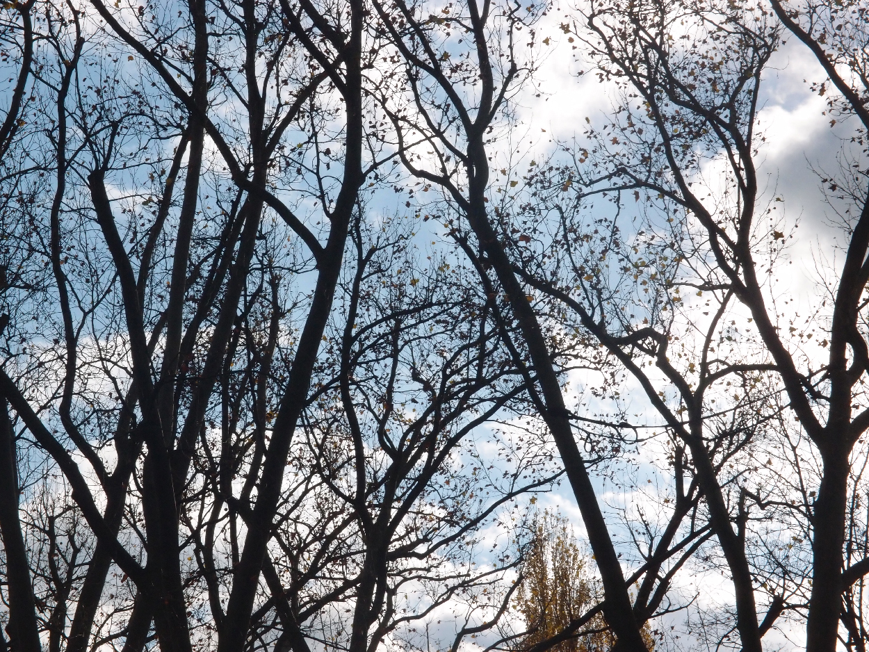 003 2015-11-10 durch die Stadt (Dat Tape 2)